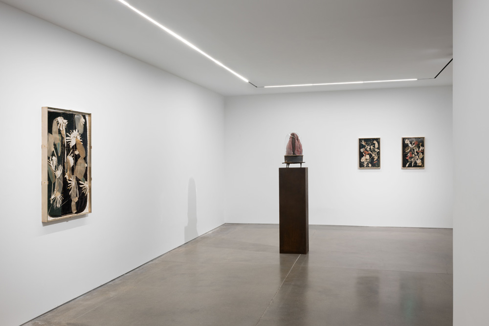 Berlinde De Bruyckere Pedro Cera 