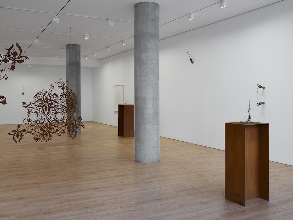Kelly Akashi Lisson Gallery 