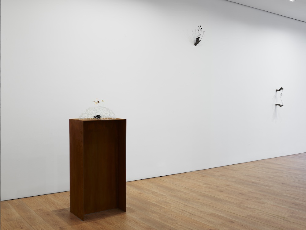 Kelly Akashi Lisson Gallery 
