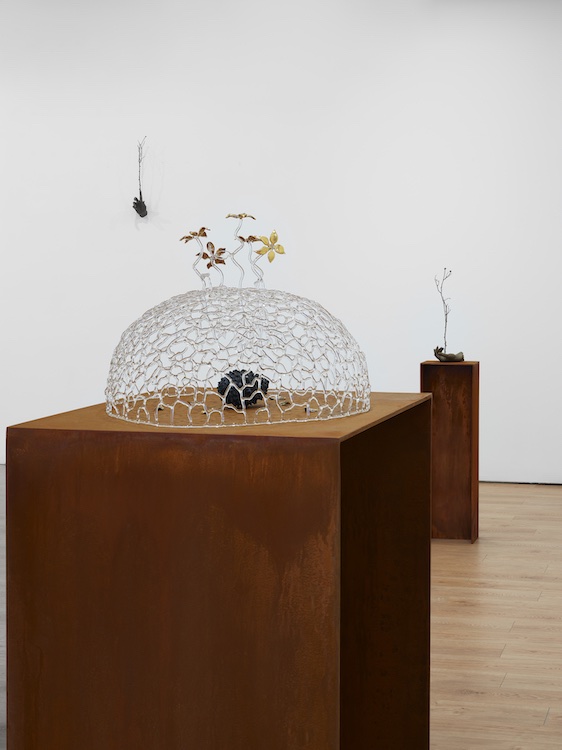 Kelly Akashi Lisson Gallery 