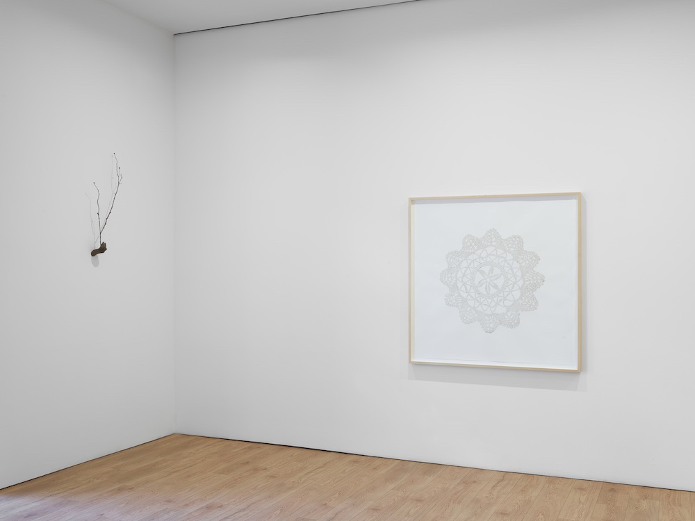 Kelly Akashi Lisson Gallery 