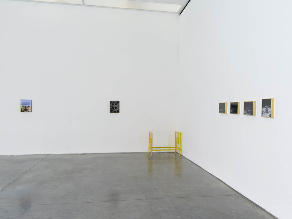 Elad Lassry	 303 Gallery 