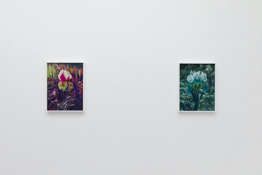 Lisa Oppenheim The Approach 