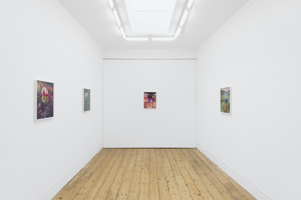 Lisa Oppenheim The Approach 