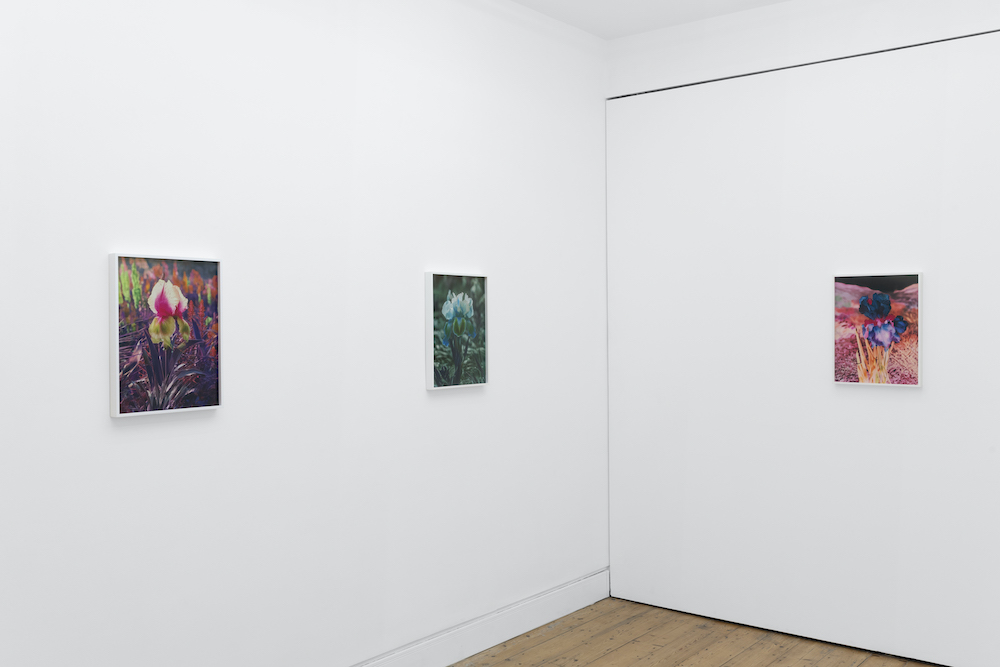 Lisa Oppenheim The Approach 