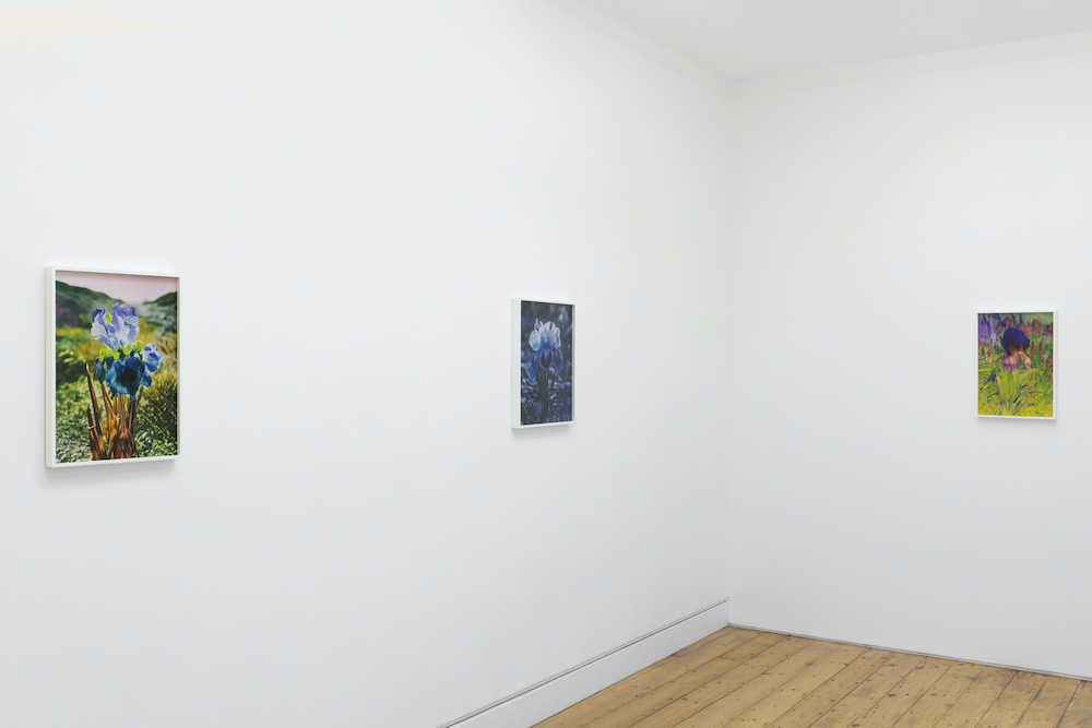 Lisa Oppenheim The Approach 