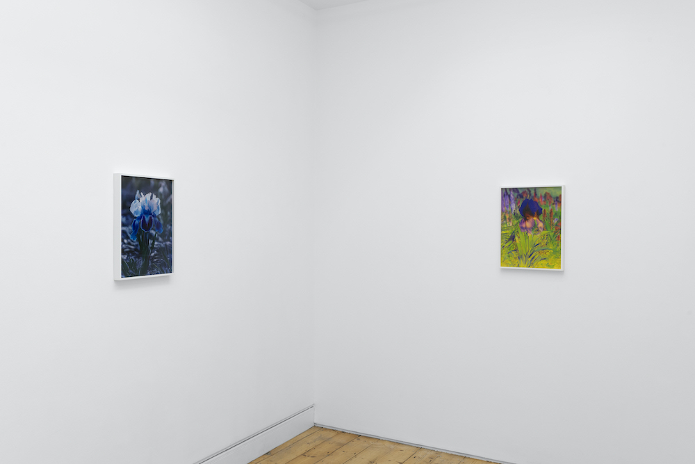 Lisa Oppenheim The Approach 