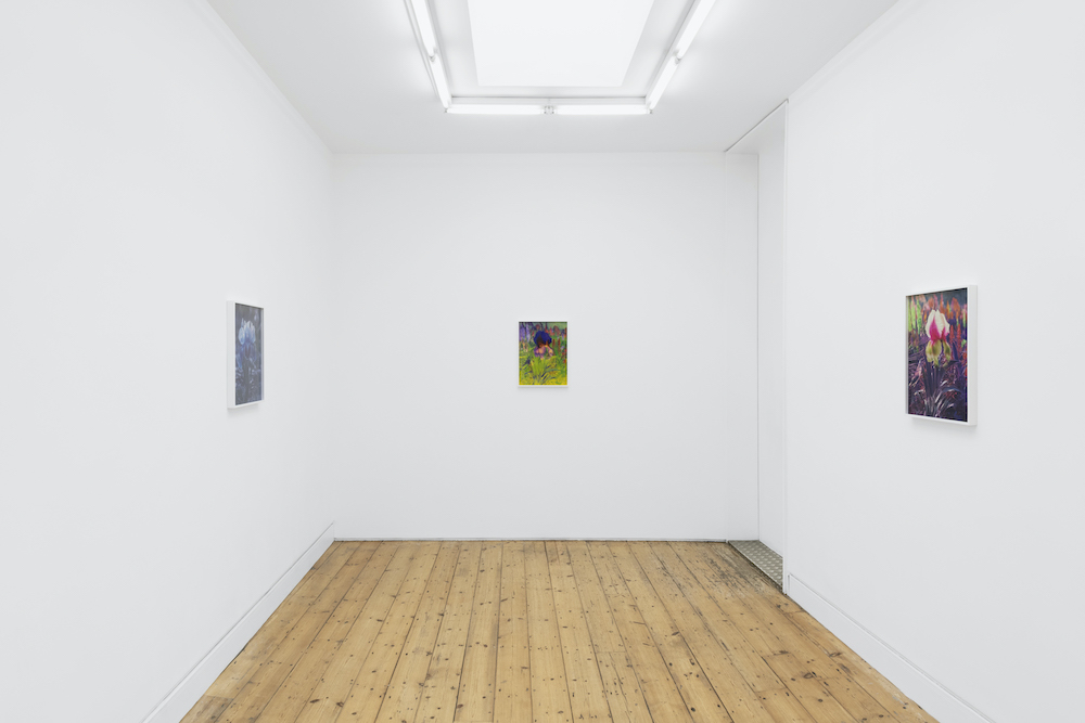 Lisa Oppenheim The Approach 