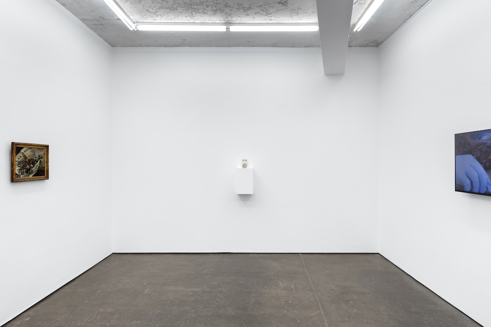 Amalia Pica Herald St 