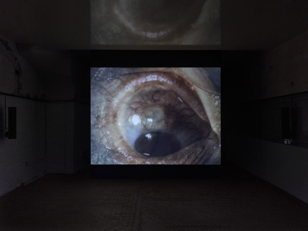 James Richards Sylvia Kouvali 