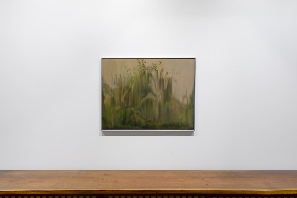 Rachel Rose Gladstone Gallery 