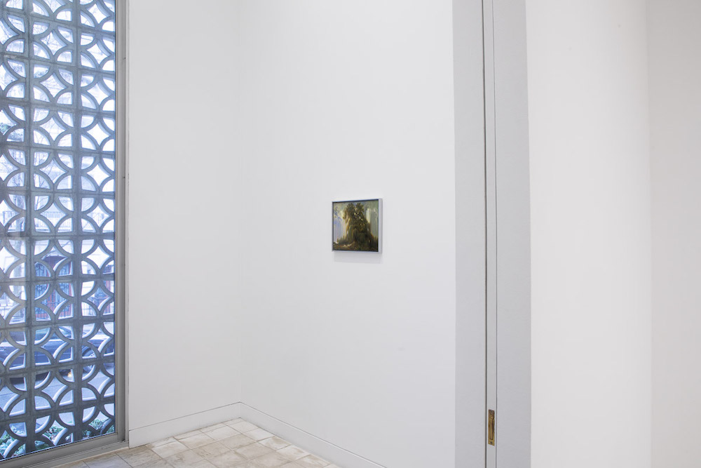 Rachel Rose Gladstone Gallery 