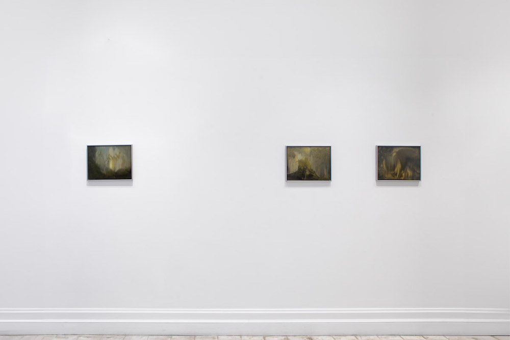 Rachel Rose Gladstone Gallery 