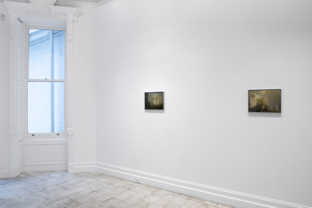 Rachel Rose Gladstone Gallery 