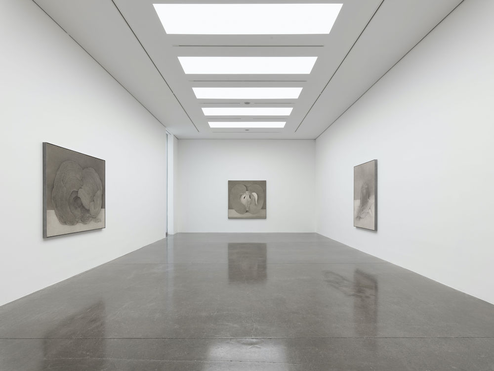 Shao Fan White Cube 