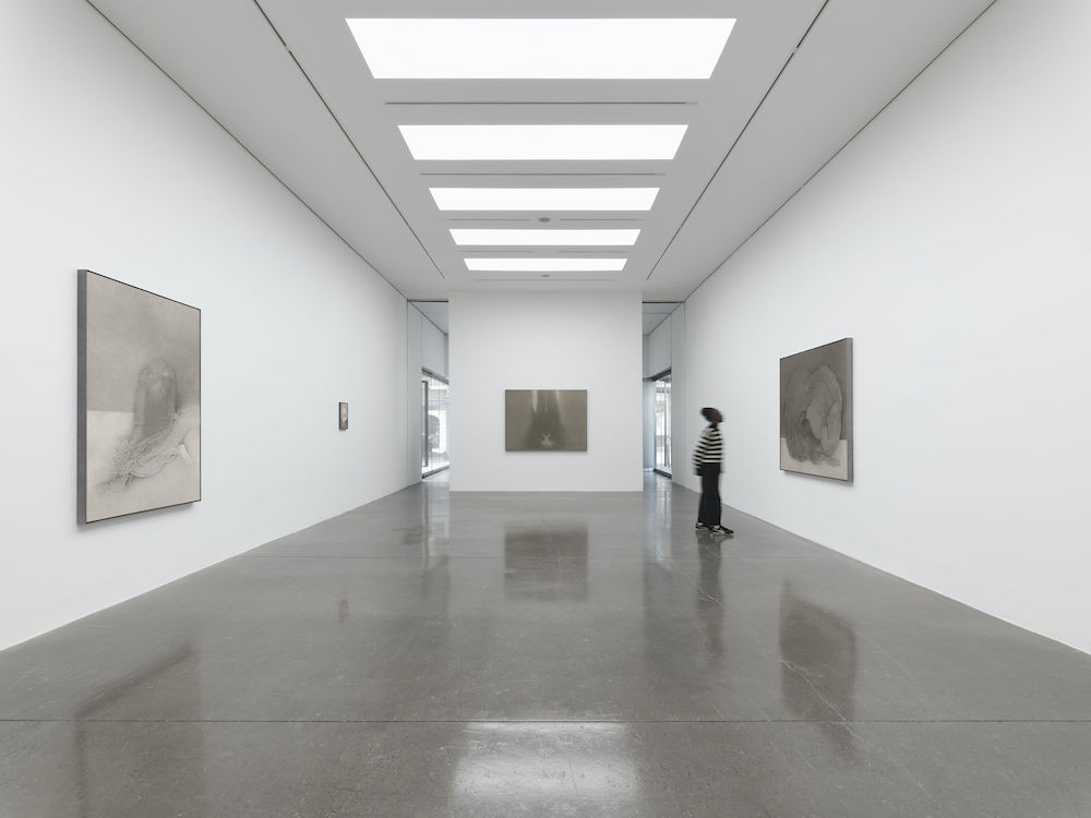 Shao Fan White Cube 