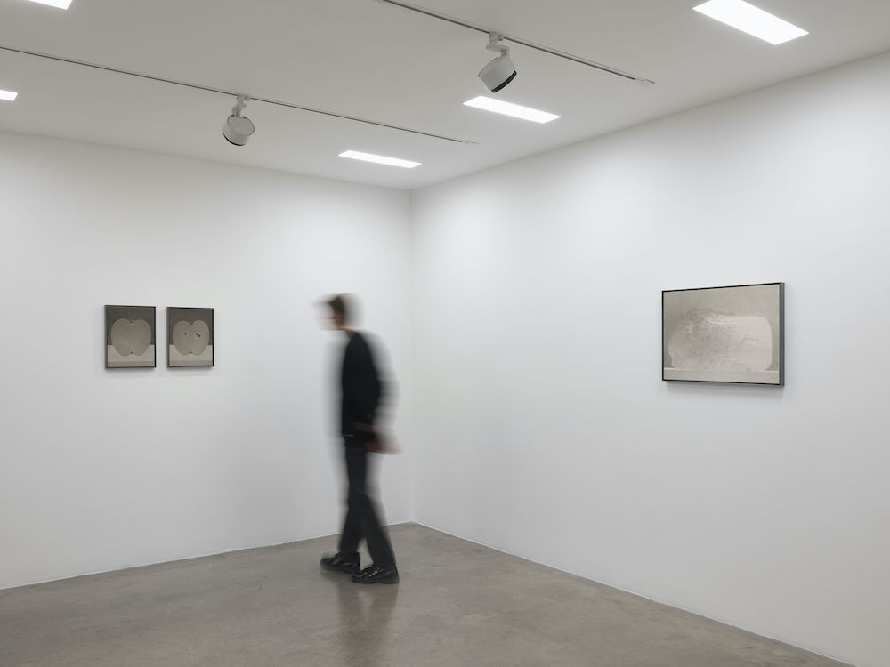 Shao Fan White Cube 