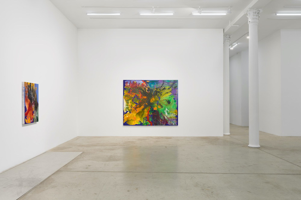 Vian Sora Bortolami Gallery 