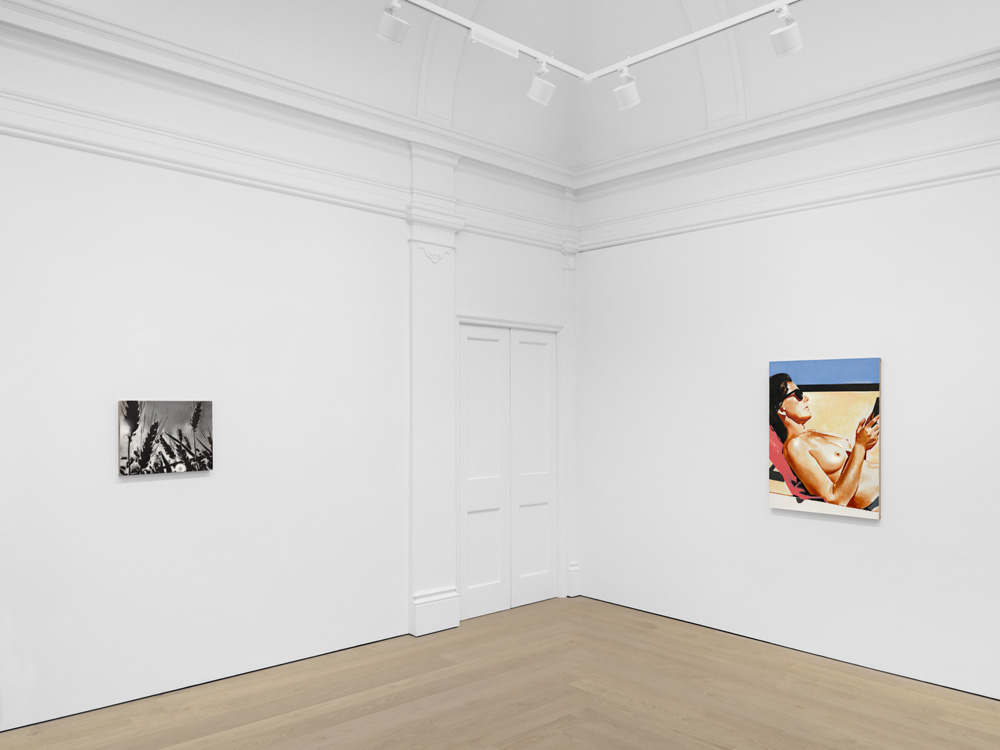 Wilhelm Sasnal Sadie Coles HQ 