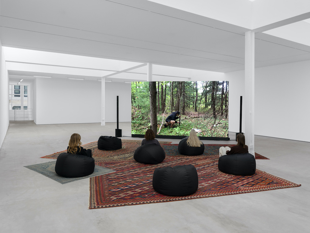 Seth Price Sadie Coles HQ 