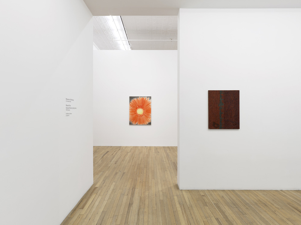  Andrew Kreps Gallery 