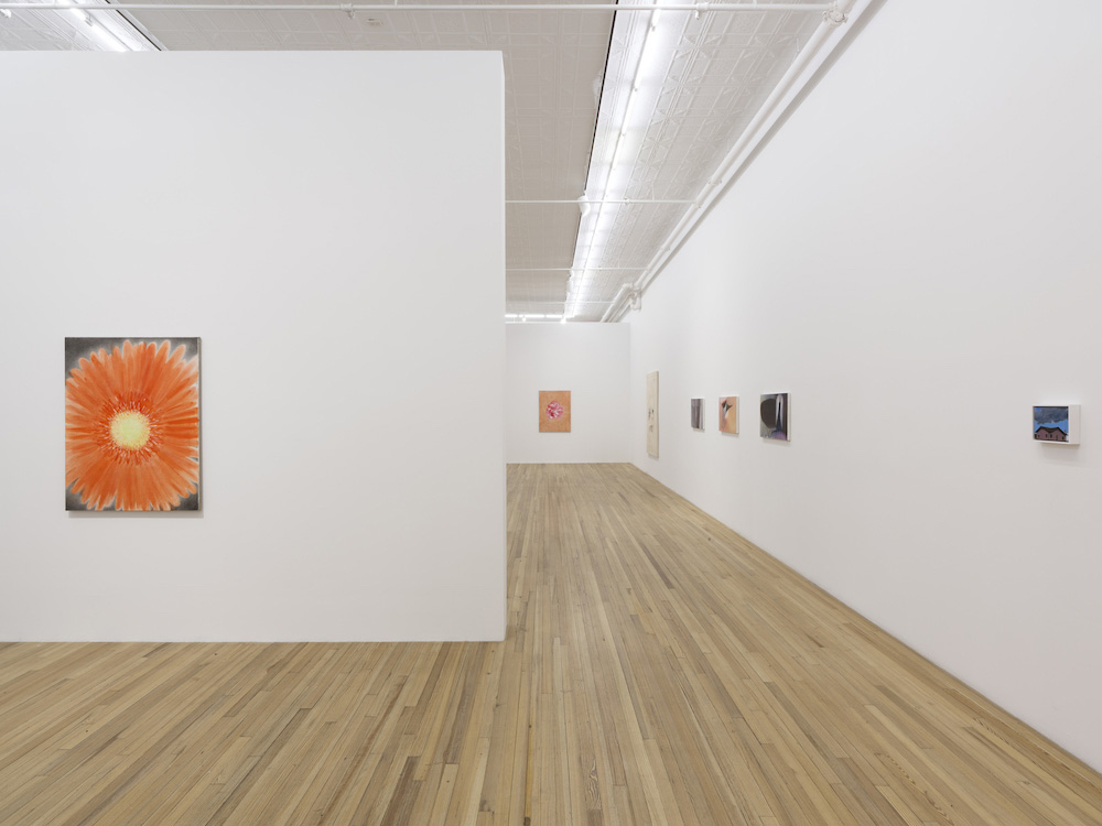  Andrew Kreps Gallery 