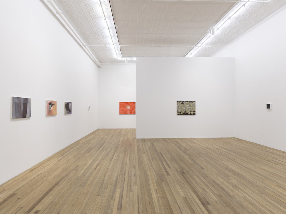  Andrew Kreps Gallery 