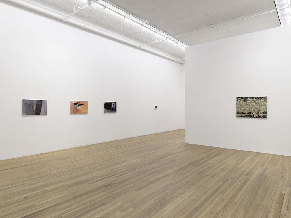  Andrew Kreps Gallery 