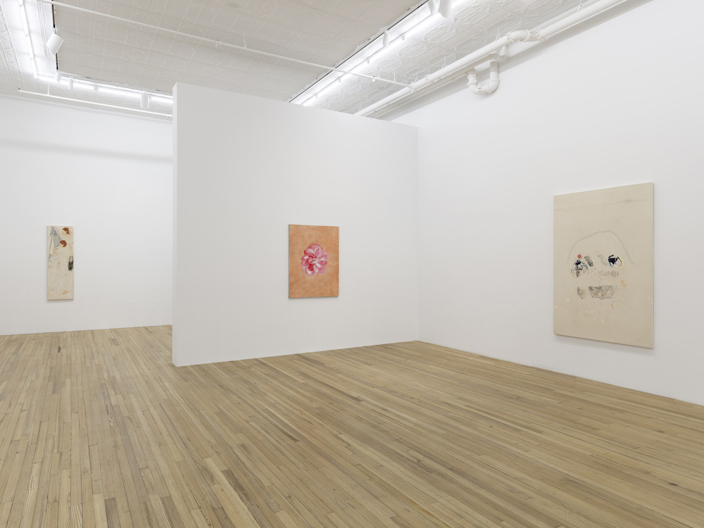  Andrew Kreps Gallery 