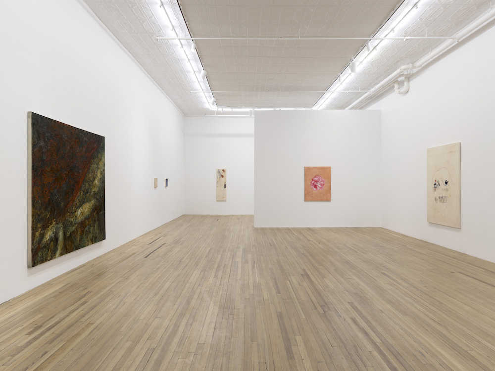  Andrew Kreps Gallery 