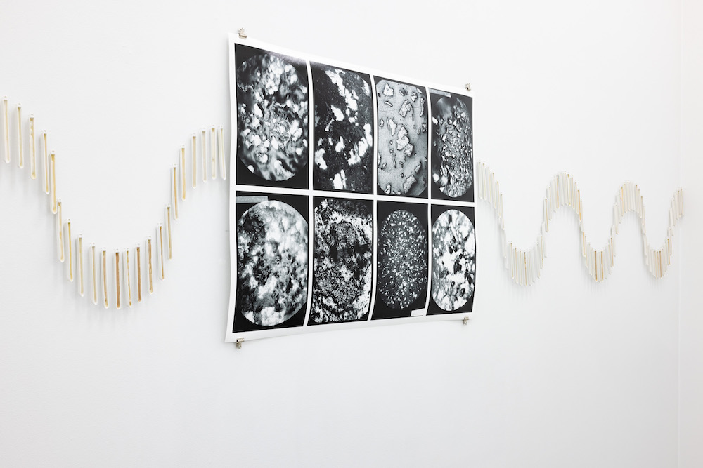 Marte Johnslien Galleri Riis 