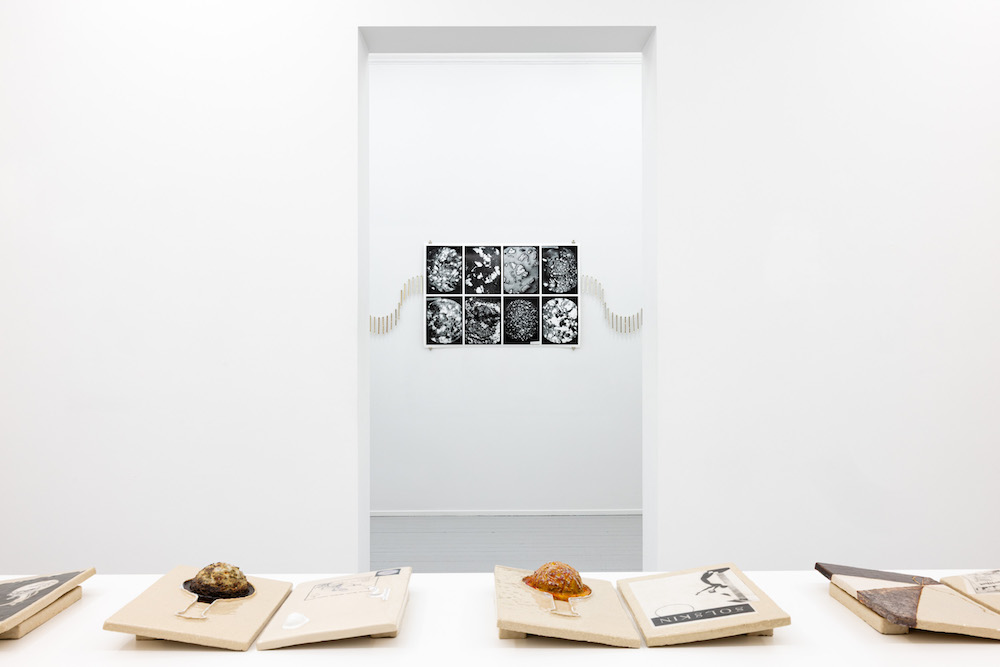 Marte Johnslien Galleri Riis 