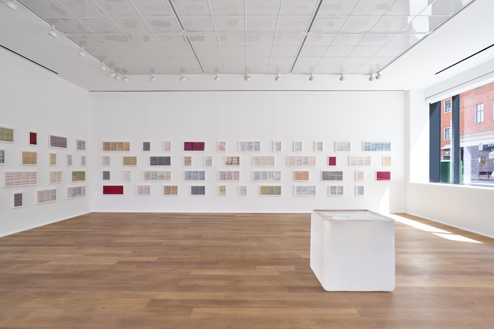 Roni Horn Hauser & Wirth 