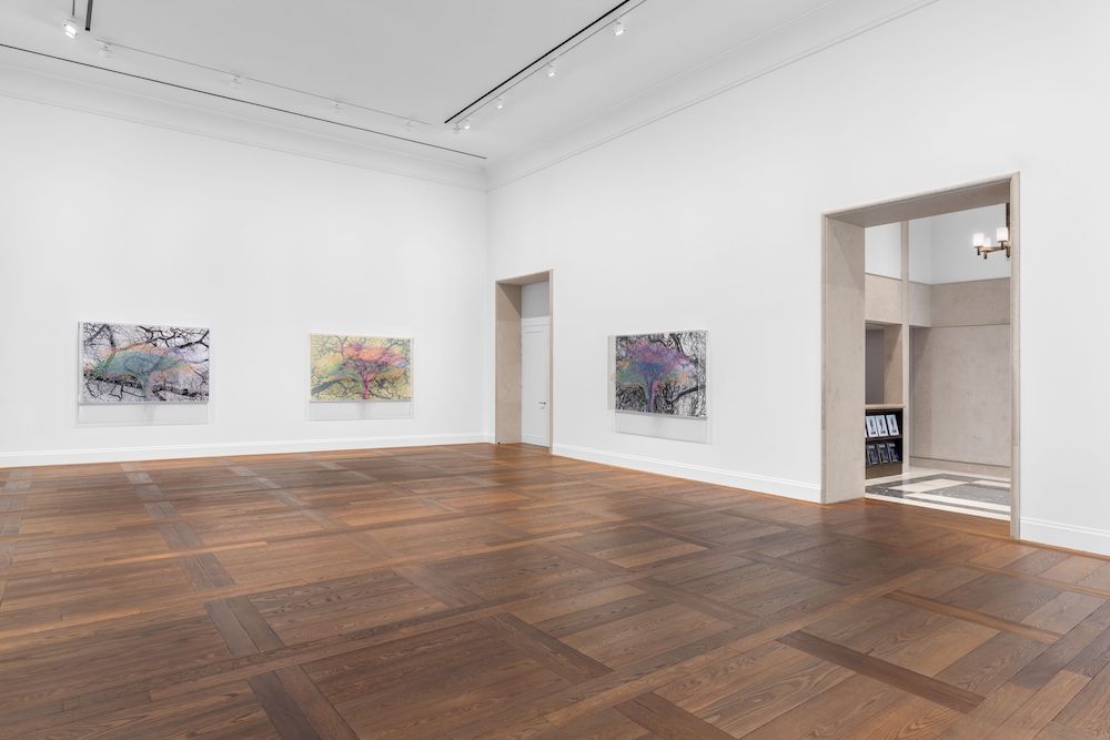 Charles Gaines Hauser & Wirth 