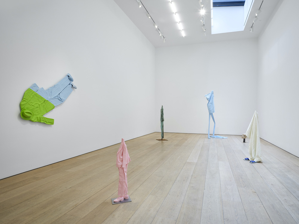 Erwin Wurm Lehmann Maupin 