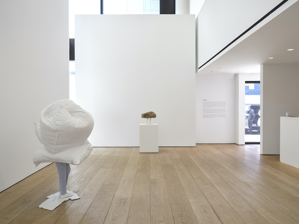 Erwin Wurm Lehmann Maupin 