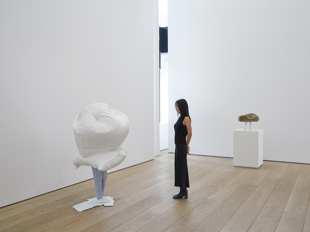 Erwin Wurm Lehmann Maupin 