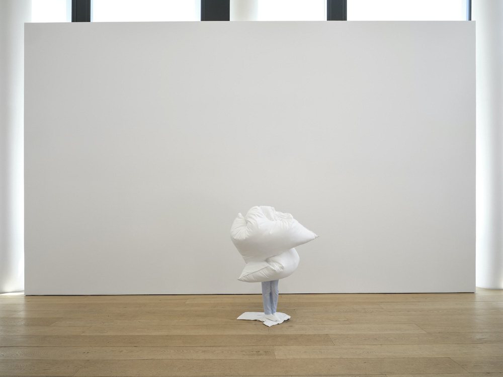 Erwin Wurm Lehmann Maupin 