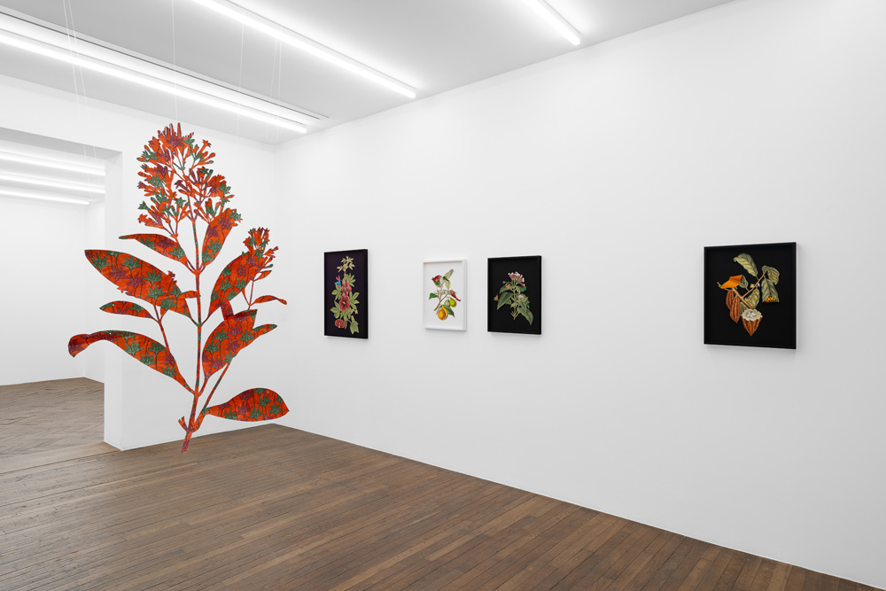 Ishita Chakraborty Galerie Peter Kilchmann 