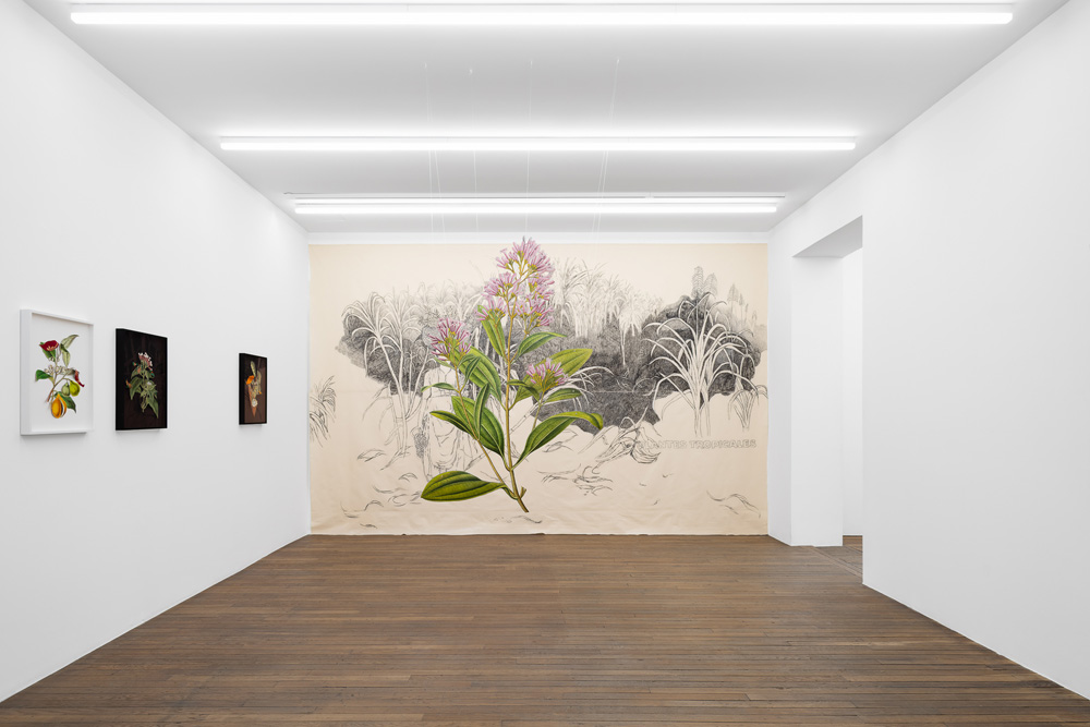 Ishita Chakraborty Galerie Peter Kilchmann 