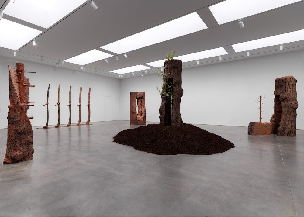 Giuseppe Penone Gagosian 