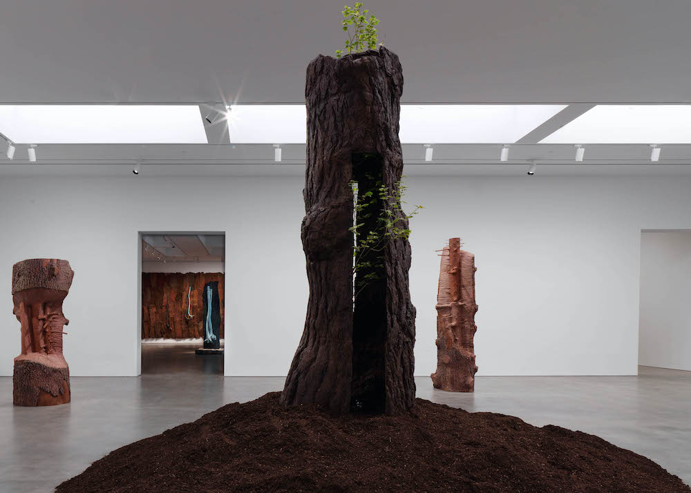 Giuseppe Penone Gagosian 