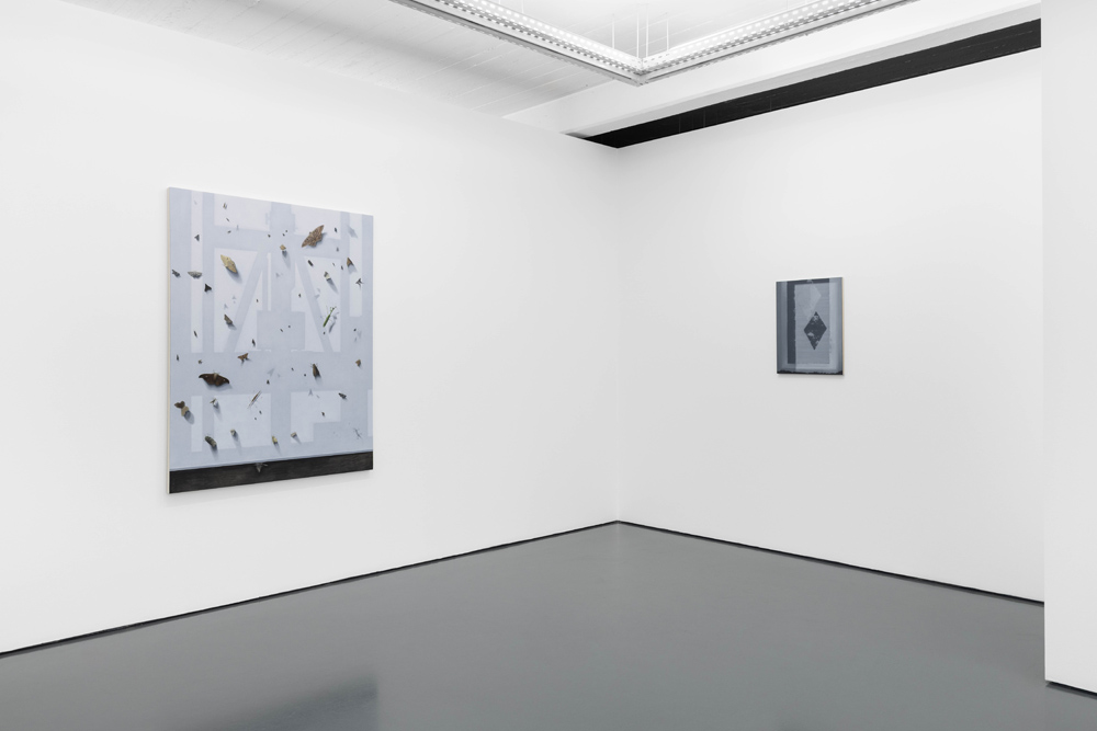 Gonçalo Preto Pedro Cera 