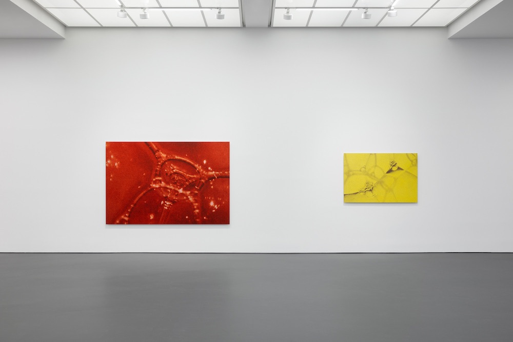 Tauba Auerbach Esther Schipper 