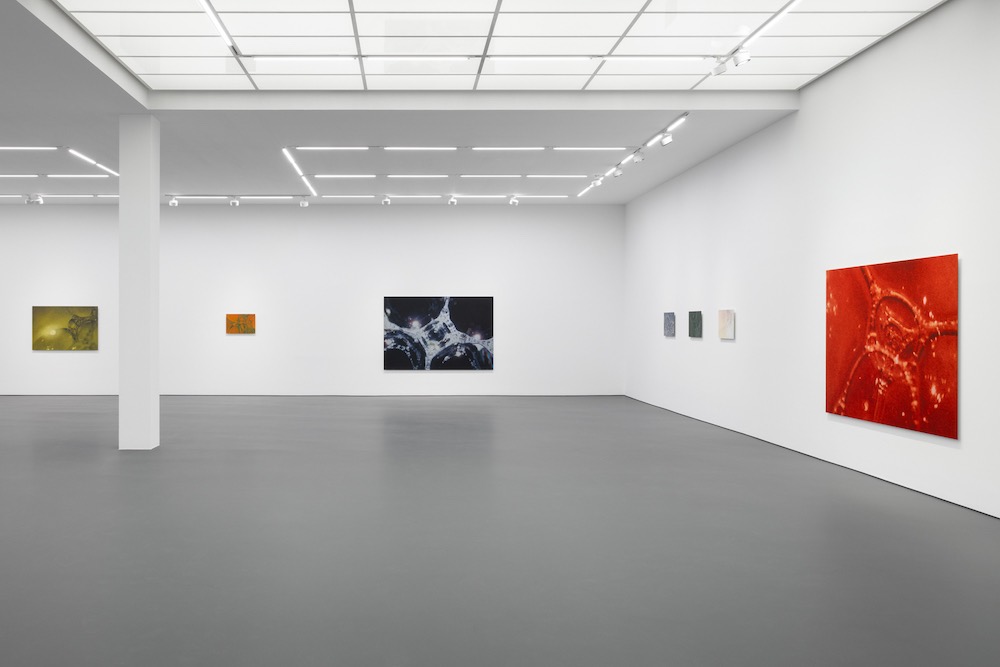 Tauba Auerbach Esther Schipper 