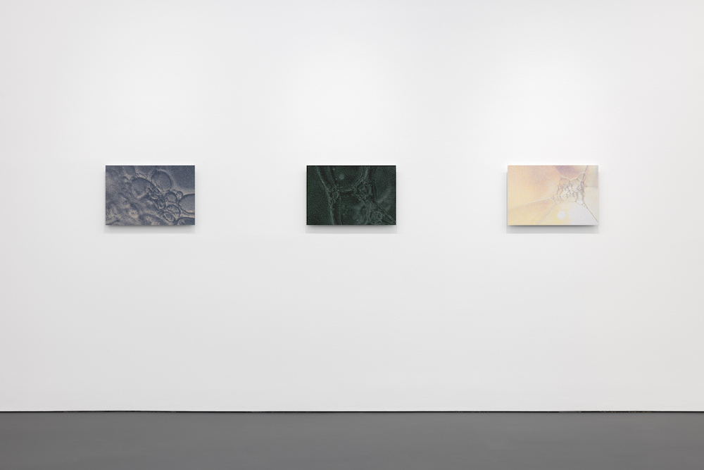 Tauba Auerbach Esther Schipper 