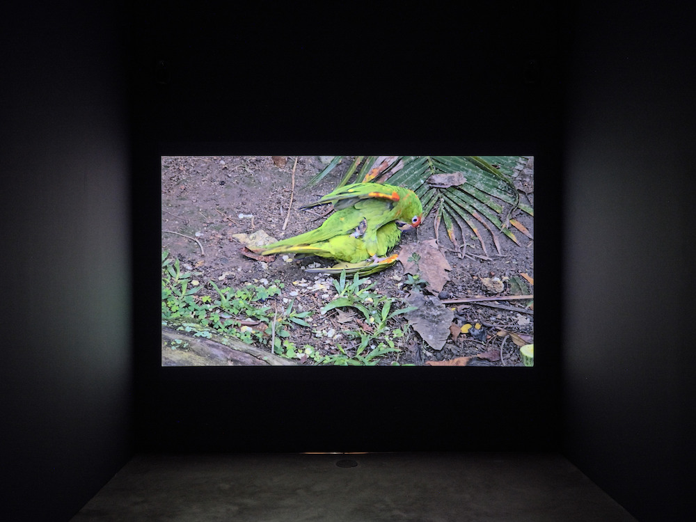 Dominique Gonzalez-Foerster 303 Gallery 