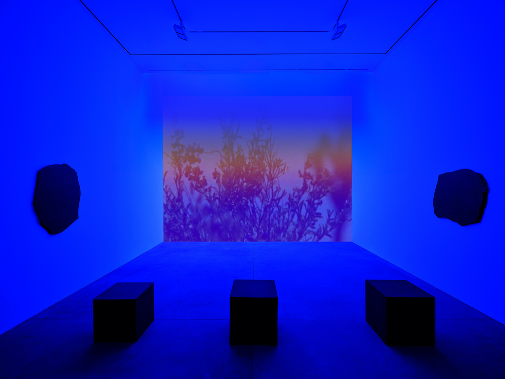  David Zwirner 