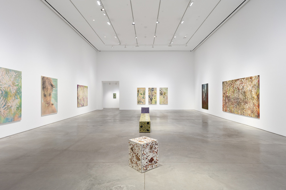 Sam Falls 303 Gallery 