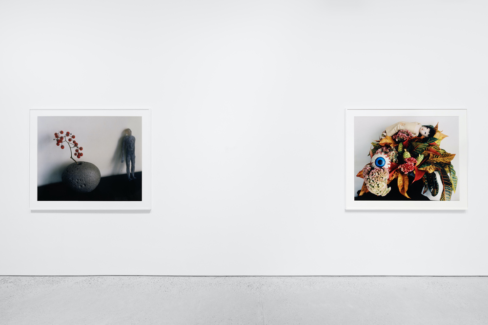  Anton Kern Gallery 